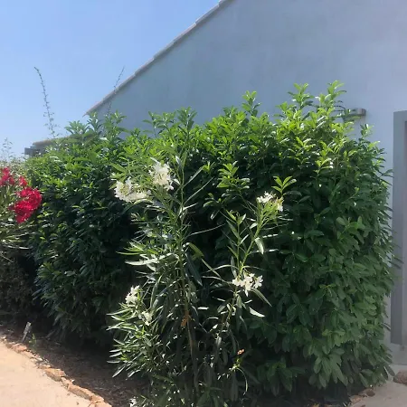 Chez Muriel דירה *